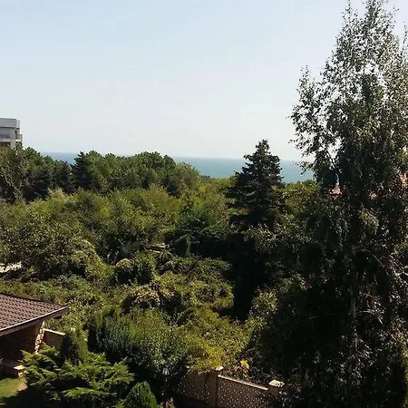 Martinelli Varna